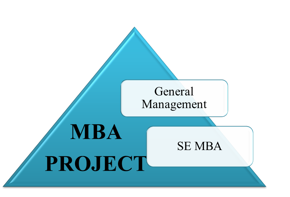 MBA Project 